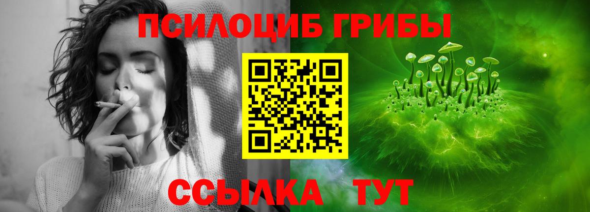 Галлюциногенные грибы MAGIC MUSHROOMS  Вход с VPN  как найти   Орехово-Зуево 